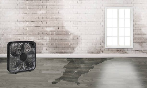 Best Commercial water damage restoration  in Benton City, WA